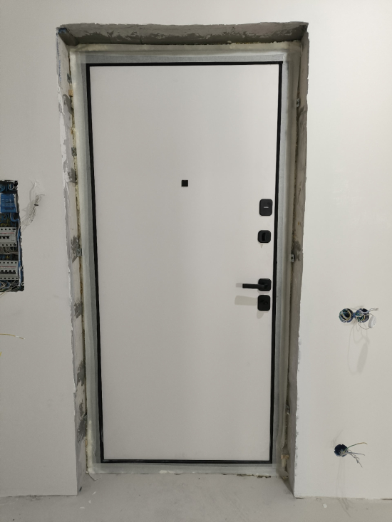 Фото входной двери №39