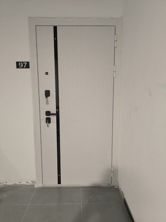 Фото входной двери №68